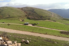 WhatsApp Image 2017-02-02 at 08.17.25